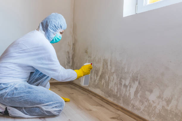 Licensed Mold Testing service in New Freedom, PA - WQB Mold Removal